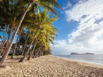 Destination Palm Cove - One of Australia's favourite tropical getaways, fringing palm trees and age-old melaleuca trees lining the esplanade.
